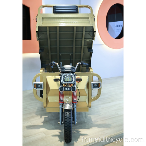Tricycle électrique à chargement lourd de prix bon marché